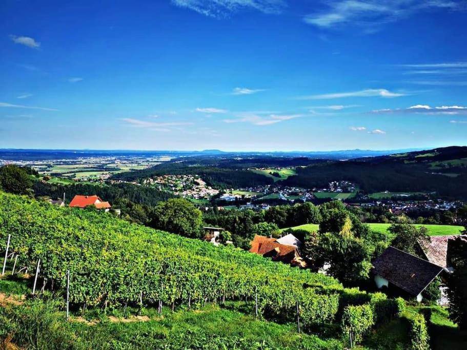 Wiednermichl - Urlaub In Den Weinbergen Krottendorf bei Ligist Exterior foto